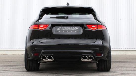 Hamann nâng cấp toàn diện xe Jaguar F-Pace 6