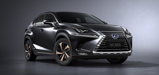 oto-xemay-lexus-nx-khac-biet