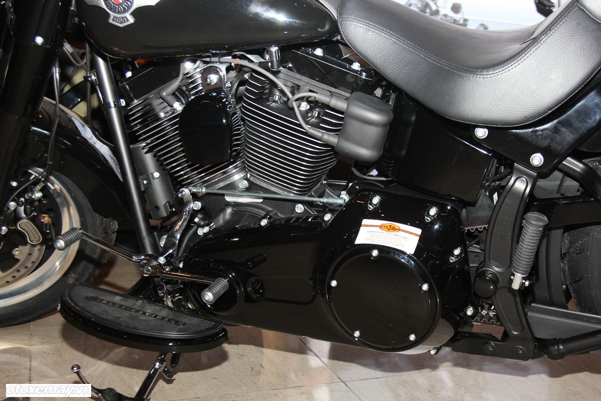 Ra mắt Harley mới tại Sài Gòn-13